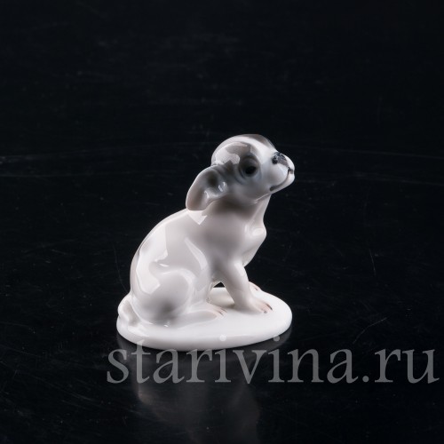 Фарфоровая фигурка собаки Щенок французского бульдога, миниатюра, Rosenthal, Германия, 1924 год.