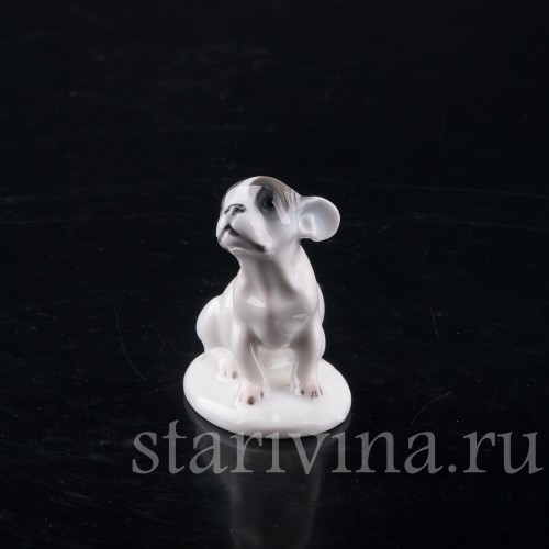 Фарфоровая фигурка собаки Щенок французского бульдога, миниатюра, Rosenthal, Германия, 1924 год.