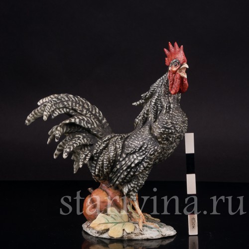 Фарфоровая статуэтка птицы Петух с тыквой, Tay, Италия, сер. 20 в.