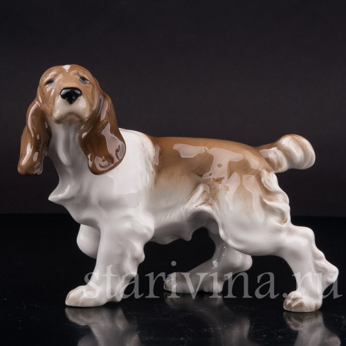 Фигурка собаки из фарфора Кокер спаниель, Hutschenreuther, Германия, вт. пол. 20 в.