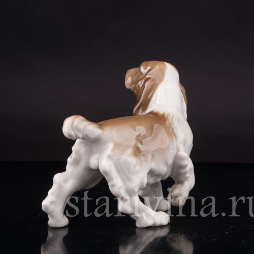 Фигурка собаки из фарфора Кокер спаниель, Hutschenreuther, Германия, вт. пол. 20 в.