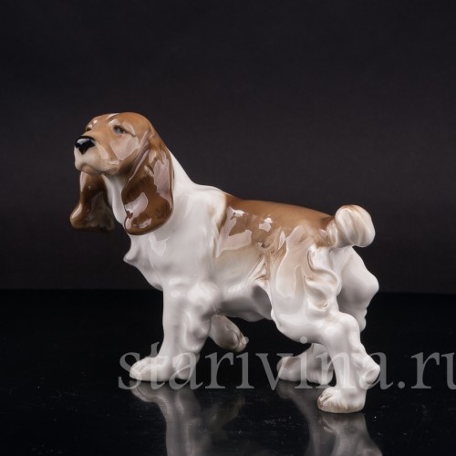 Фигурка собаки из фарфора Кокер спаниель, Hutschenreuther, Германия, вт. пол. 20 в.