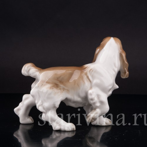 Фигурка собаки из фарфора Кокер спаниель, Hutschenreuther, Германия, вт. пол. 20 в.