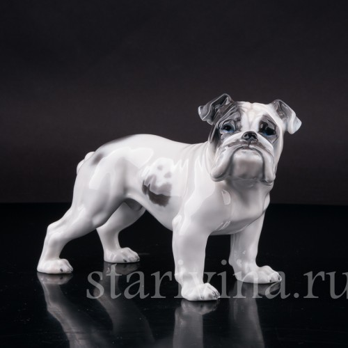 Фарфоровая статуэтка собаки Английский бульдог, Rosenthal, Германия, 1950-60 гг.