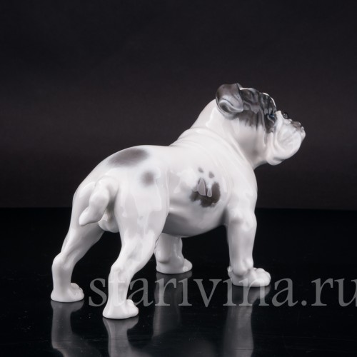 Фарфоровая статуэтка собаки Английский бульдог, Rosenthal, Германия, 1950-60 гг.