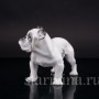 Фарфоровая статуэтка собаки Английский бульдог, Rosenthal, Германия, 1950-60 гг.