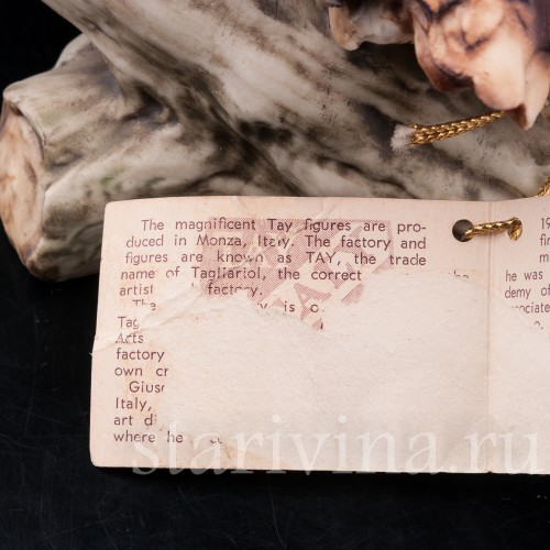 Два птенца дроздов, Tay, Италия