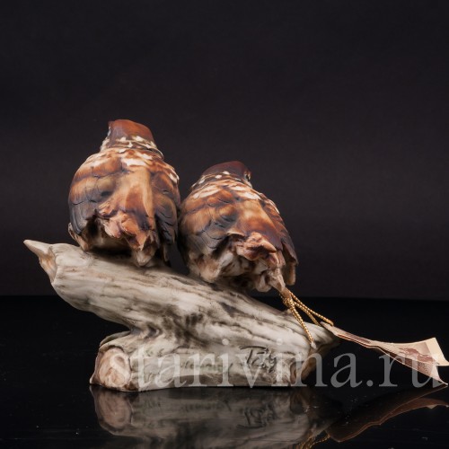 Два птенца дроздов, Tay, Италия