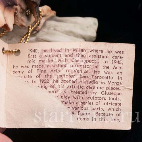 Два птенца дроздов, Tay, Италия