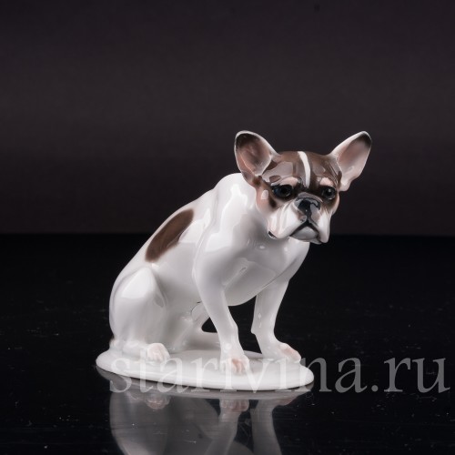 Сидящий французский бульдог., Rosenthal, Германия, 1920 гг