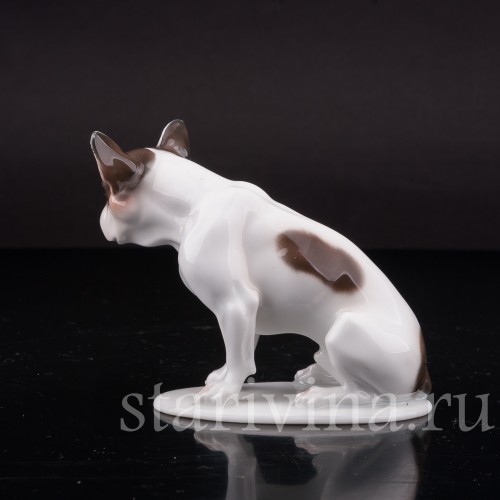 Сидящий французский бульдог., Rosenthal, Германия, 1920 гг