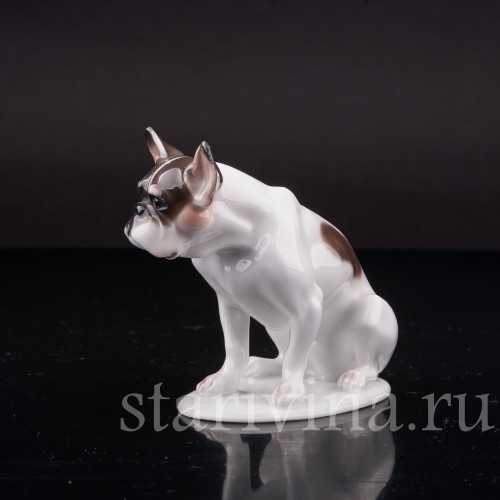 Сидящий французский бульдог., Rosenthal, Германия, 1920 гг