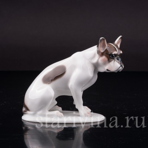 Сидящий французский бульдог., Rosenthal, Германия, 1920 гг