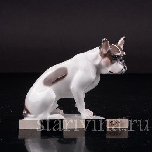 Сидящий французский бульдог., Rosenthal, Германия, 1920 гг
