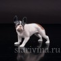 Фигурка собаки из фарфора Стоящий французский бульдог, Rosenthal, Германия, 1920-30 гг.
