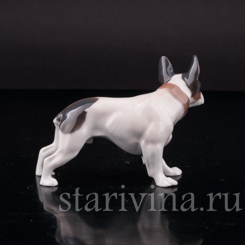 Фигурка собаки из фарфора Стоящий французский бульдог, Rosenthal, Германия, 1920-30 гг.