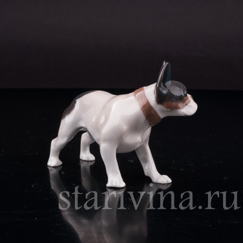 Фигурка собаки из фарфора Стоящий французский бульдог, Rosenthal, Германия, 1920-30 гг.