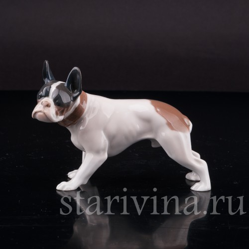 Фигурка собаки из фарфора Стоящий французский бульдог, Rosenthal, Германия, 1920-30 гг.