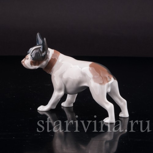 Фигурка собаки из фарфора Стоящий французский бульдог, Rosenthal, Германия, 1920-30 гг.
