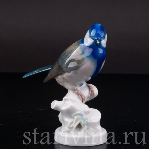 Статуэтка птицы из фарфора Лазоревка, Rosenthal, Германия, 1929 г.