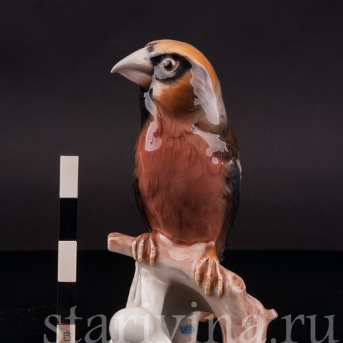 Фарфоровая статуэтка птицы Дубонос, Goebel, Германия, 1967 год.