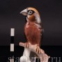 Фарфоровая статуэтка птицы Дубонос, Goebel, Германия, 1967 год.