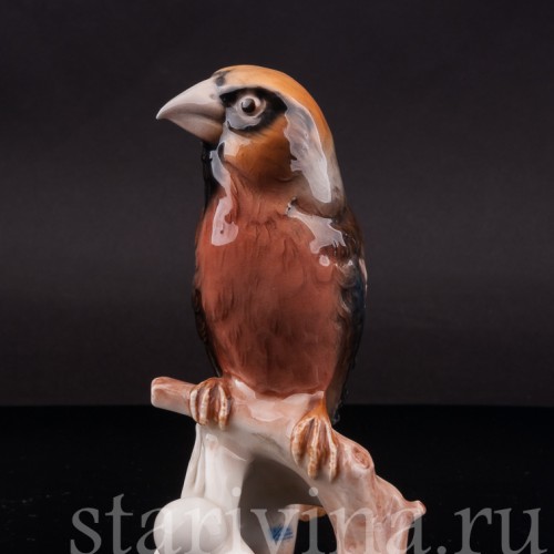 Фарфоровая статуэтка птицы Дубонос, Goebel, Германия, 1967 год.