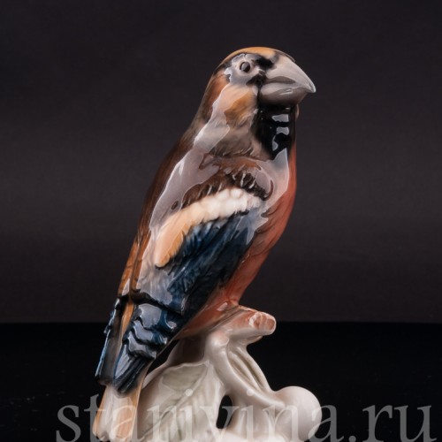 Фарфоровая статуэтка птицы Дубонос, Goebel, Германия, 1967 год.