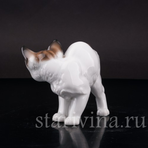 Фарфоровая статуэтка Котёнок с выгнутой спинкой, Rosenthal, Германия, 1965 год.