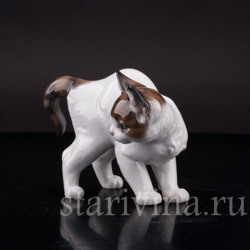 Фарфоровая статуэтка Котёнок с выгнутой спинкой, Rosenthal, Германия, 1965 год.