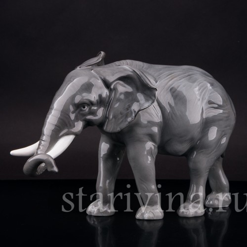 Фарфоровая фигура Африканский слон, Karl Ens, Германия, 1920-30 гг.