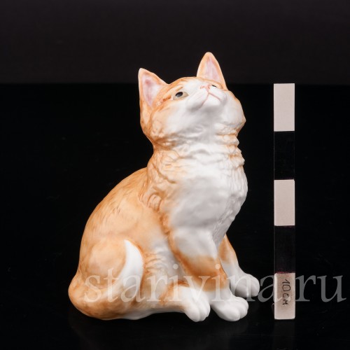 Фигурка из фарфора Рыжий котёнок, смотрящий вверх Royal Worcester, Великобритания, 1978 год.