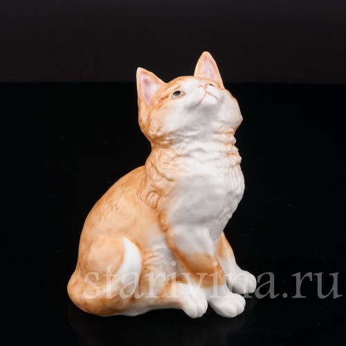 Фигурка из фарфора Рыжий котёнок, смотрящий вверх Royal Worcester, Великобритания, 1978 год.