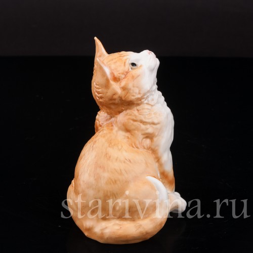 Фигурка из фарфора Рыжий котёнок, смотрящий вверх Royal Worcester, Великобритания, 1978 год.
