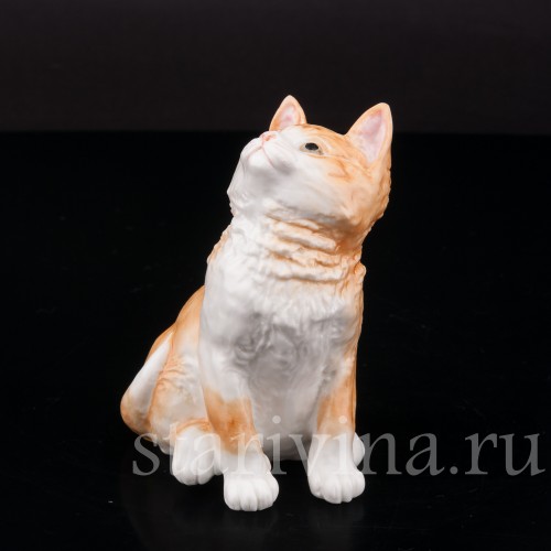 Фигурка из фарфора Рыжий котёнок, смотрящий вверх Royal Worcester, Великобритания, 1978 год.