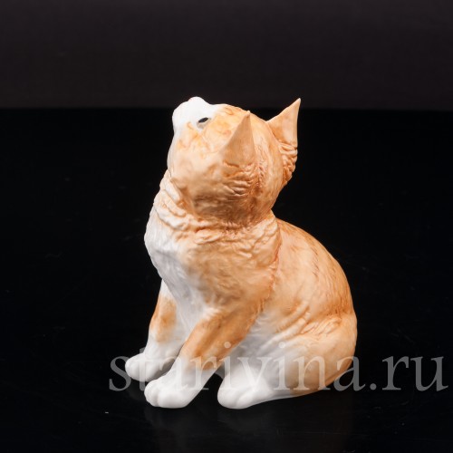 Фигурка из фарфора Рыжий котёнок, смотрящий вверх Royal Worcester, Великобритания, 1978 год.