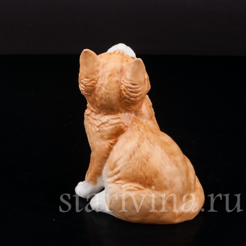 Фигурка из фарфора Рыжий котёнок, смотрящий вверх Royal Worcester, Великобритания, 1978 год.