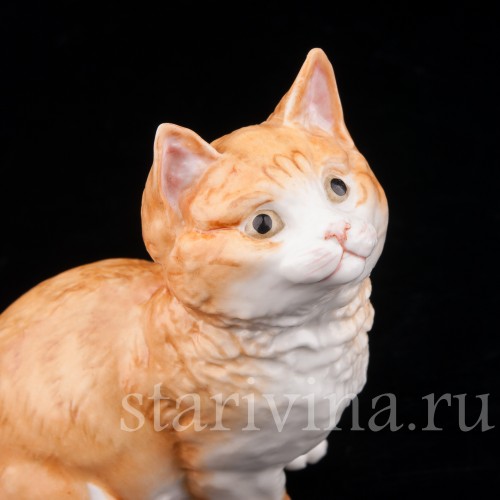 Фигурка из фарфора Рыжий котёнок, смотрящий вверх Royal Worcester, Великобритания, 1978 год.
