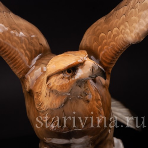 Фарфоровая статуэтка птицы Орёл, Hutschenreuther, Германия, 1955-69 гг.