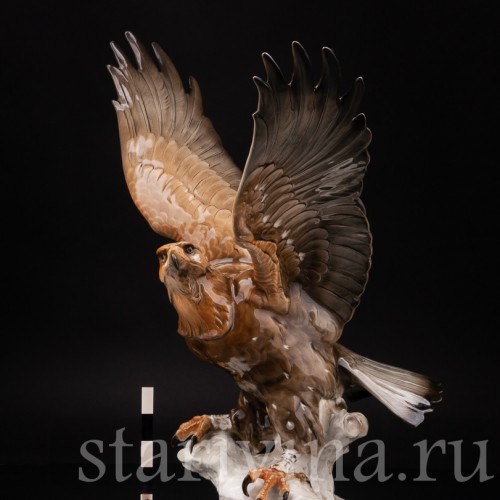 Фарфоровая статуэтка птицы Орёл, Hutschenreuther, Германия, 1955-69 гг.