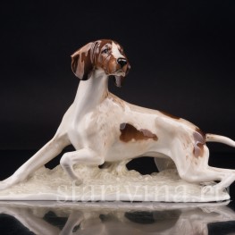 Фарфоровая статуэтка собаки Пойнтер, Hutschenreuther, Германия, сер. 20 в.