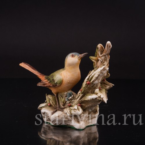 Трясогузка и кузнечик, Antonio Borsato, Италия