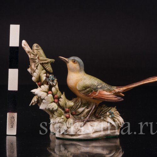 Трясогузка и кузнечик, Antonio Borsato, Италия