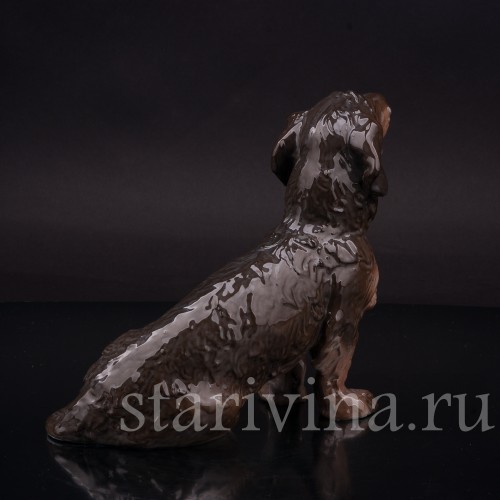 Статуэтка собаки из фарфора Сидящая длинношерстная такса, Rosenthal, Германия, 1936 год.