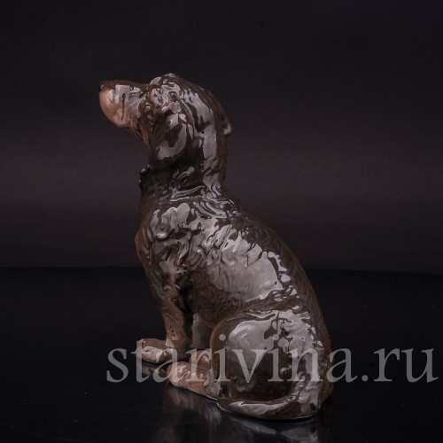 Статуэтка собаки из фарфора Сидящая длинношерстная такса, Rosenthal, Германия, 1936 год.