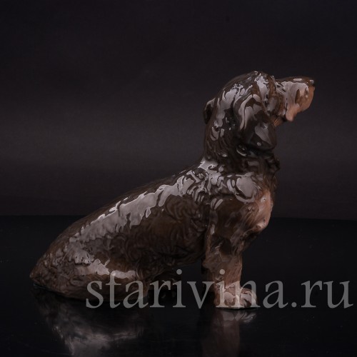 Статуэтка собаки из фарфора Сидящая длинношерстная такса, Rosenthal, Германия, 1936 год.