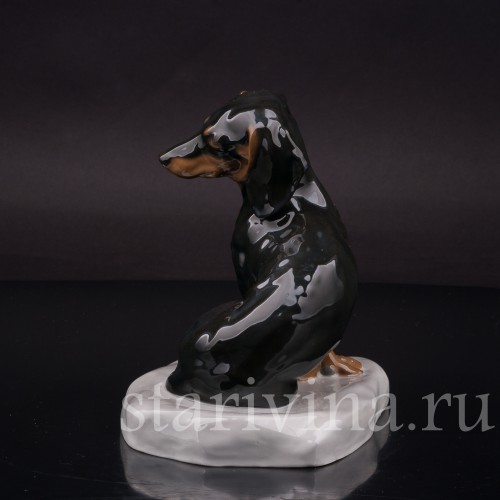 Фигурка собаки из фарфора Задремавшая такса, Heubach, Германия, нач. 20 века.
