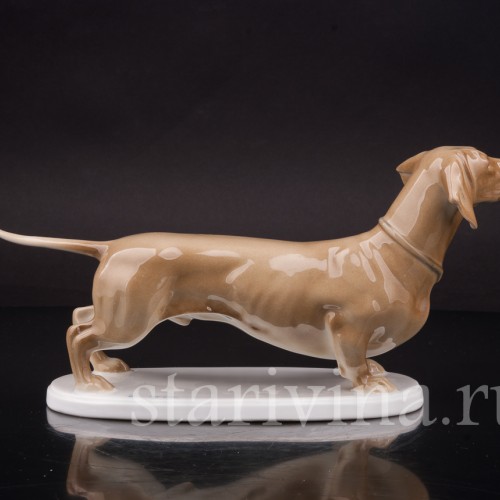 Фигурка собаки из фарфора Стоящая такса палевой масти, Rosenthal, Германия, 1915-18 гг.