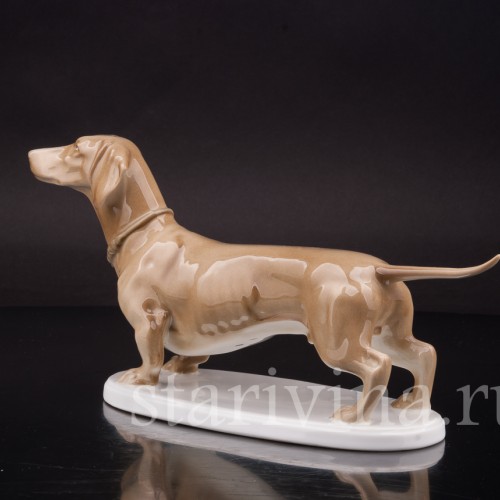 Фигурка собаки из фарфора Стоящая такса палевой масти, Rosenthal, Германия, 1915-18 гг.
