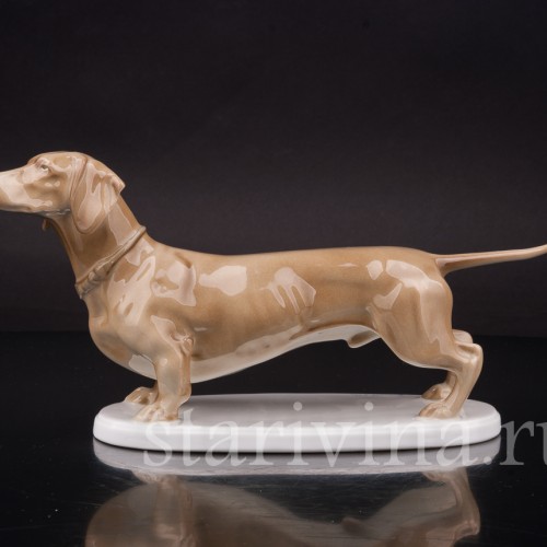 Фигурка собаки из фарфора Стоящая такса палевой масти, Rosenthal, Германия, 1915-18 гг.
